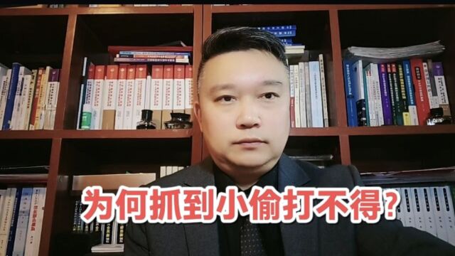 为何抓到小偷打不得?