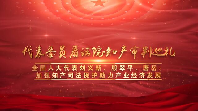 全国人大代表刘义新、殷翠平、唐岳:加强知产司法保护助力产业经济发展