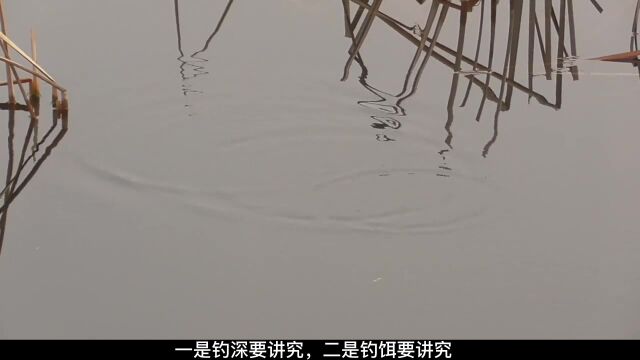 流水钓鱼有技巧,做到这四点,流水里钓鱼,渔获也不会差