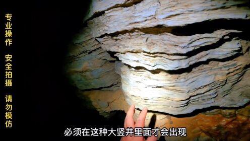 传说阴洞内部龙蟒作祟，难道黑暗深渊里真有未知生物吗？我们沿着黑暗一路前行，谁知尽头竟是如此不堪#洞穴探险 #户外小北