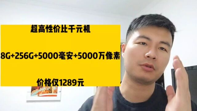 超高性价比千元机,8G+256G+5000毫安+5000万像素,价格仅1289元