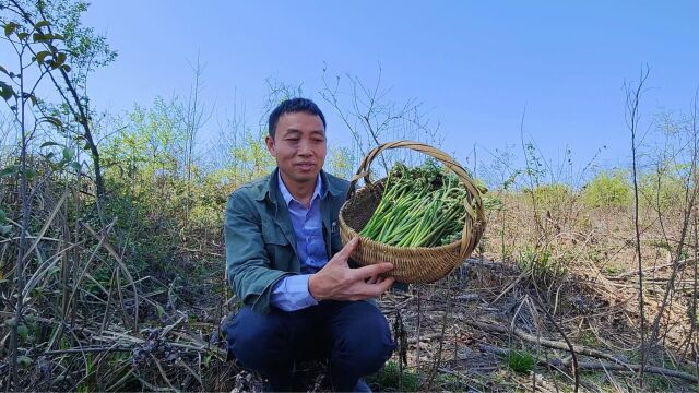 农村到处都是蕨菜,山蕨和水蕨这两种蕨菜的做法,您喜欢吃哪种?