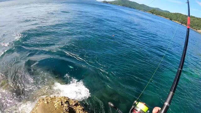 矶钓,日本近海钓鱼,辐射鱼没人敢吃