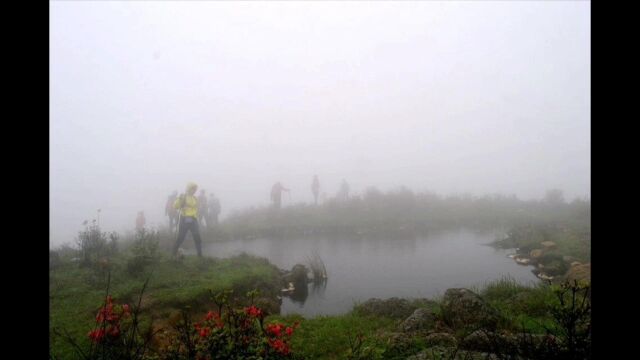 广东经典徒步路线之八大高山草甸2016江门天露山