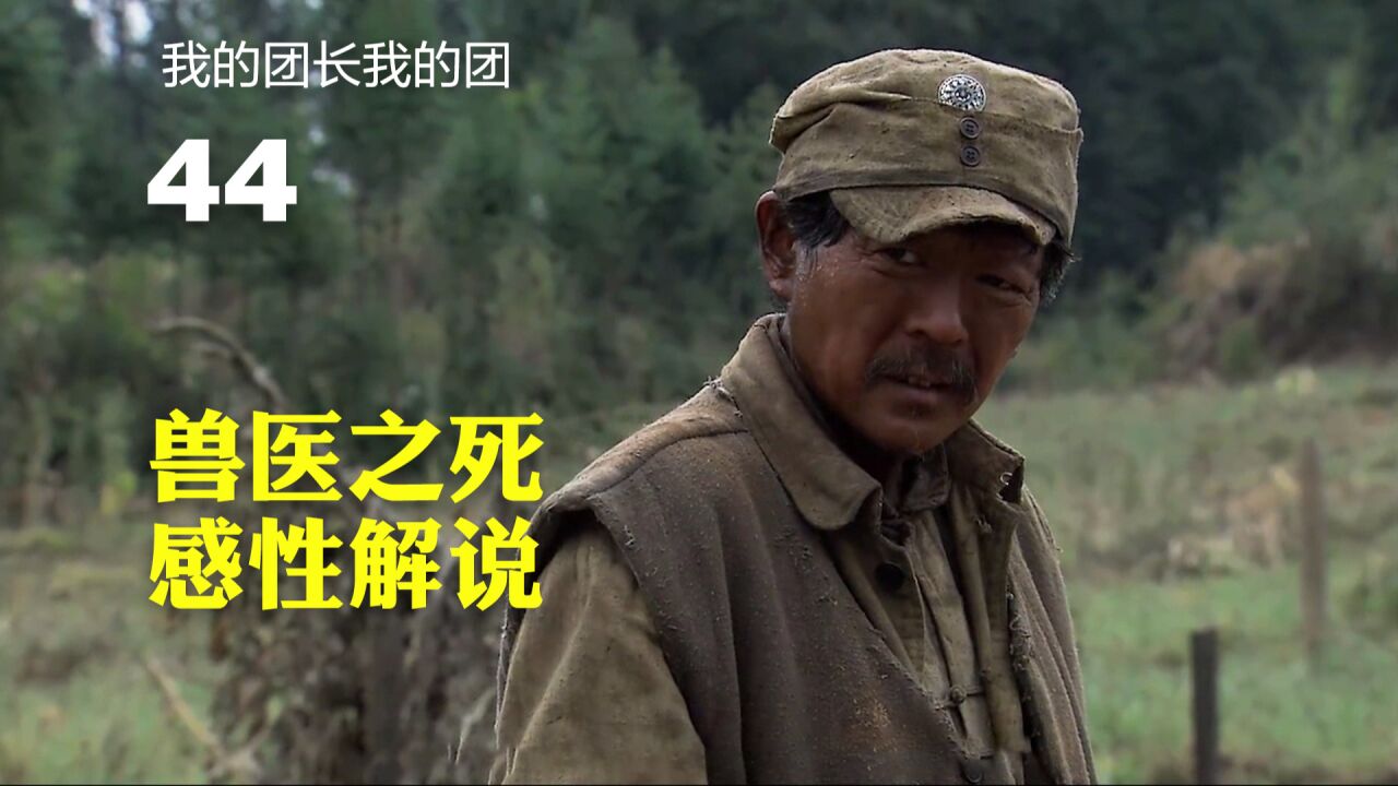 感性解说兽医之死他浑身在发光!_高清1080P在线观看平台_腾讯视频