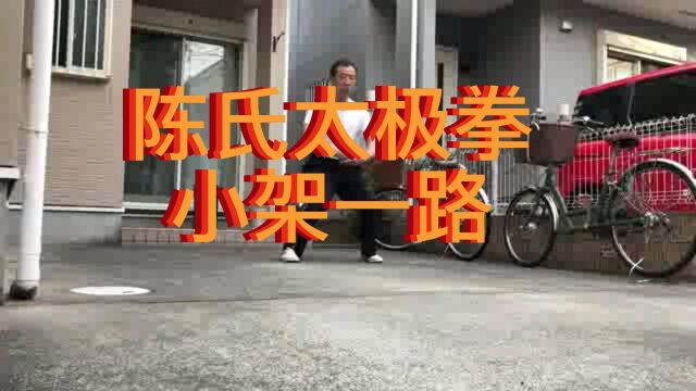 陈式太极拳小架