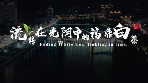 福鼎白茶宣传片：流转在光阴中的福鼎白茶