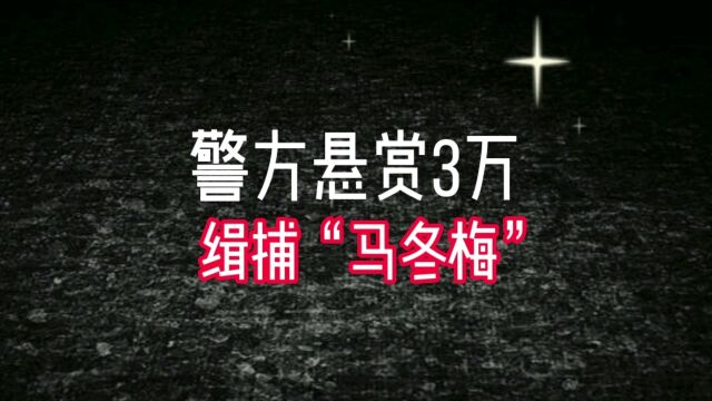 警方悬赏3万缉捕“马冬梅”