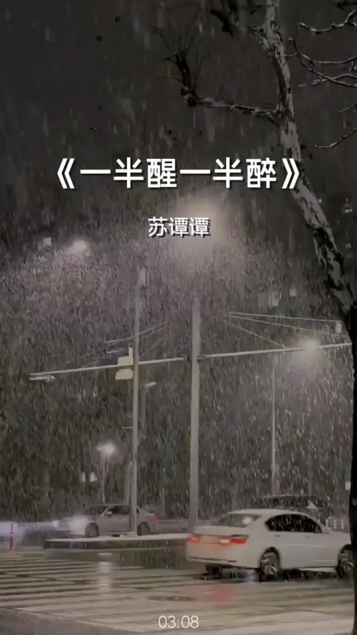 一半醒一半醉完整版