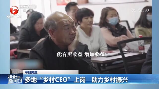 多地“乡村CEO”上岗,助力乡村振兴