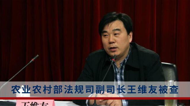 农业农村部法规司副司长王维友接受审查调查,上月还在山东基层调研