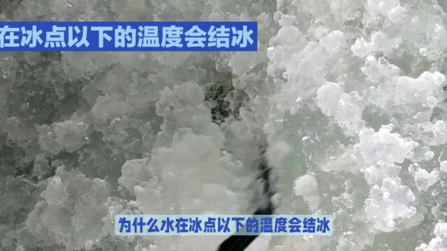 水在什么温度下才会结冰,为什么水在冰点以下的温度会结冰?