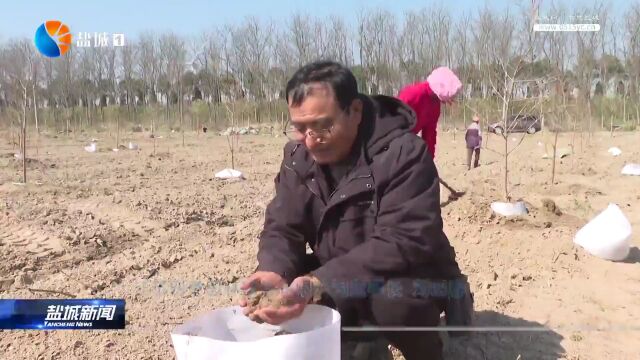 因地制宜植新绿 城乡大地春意浓