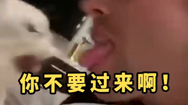 你不要过来啊!!