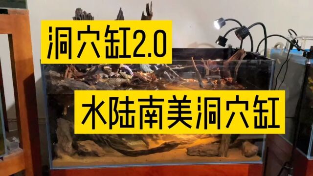 洞穴缸2.0 水陆南美洞穴缸 !最后有对比 你们看效果怎么样