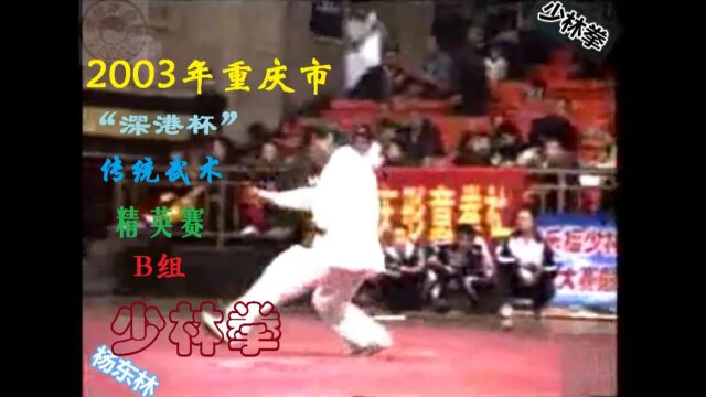 2003年重庆市“深港杯”传统武术精英赛B组少林拳杨东林