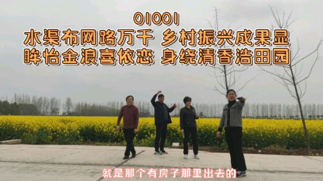 00798水渠布网路万千 乡村振兴成果显眸怡金浪喜依恋 身绕清香浩田园