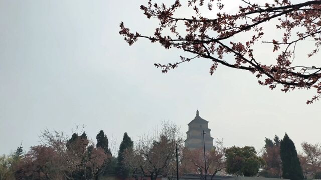 西安大慈恩寺,登千年大雁塔俯瞰整个西安