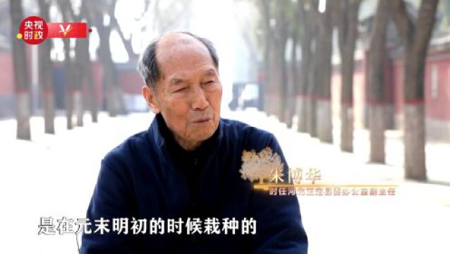 时政专题片丨叶长千年茂 根扎大地深——习近平与树的故事