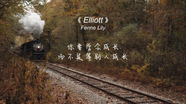 《Elliott》无法抗拒的迷人嗓音,旋律是忧伤的,听完却有被治愈