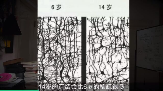 《园丁与木匠》01 开始前必须知道的事#家庭教育2