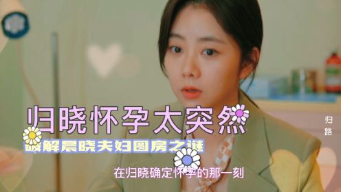 归路：晨晓夫妇何时圆房成疑，网友化身“侦探”破解归晓怀孕之谜