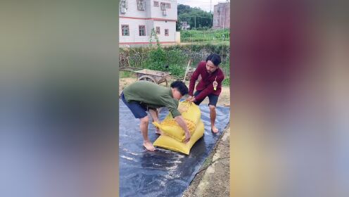干啥啥不行挨揍第一名！_高清1080P在线观看平台_腾讯视频