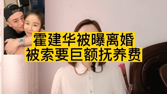 林心如被曝离婚,向霍建华索要巨额抚养费