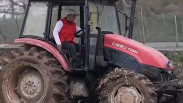 万伦组建青年突击队,主要是为全程机械化水稻,高标准农田建设耕作服务