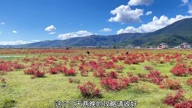 如果你要来香格里拉,这份三天两晚的攻略请收好香格里拉