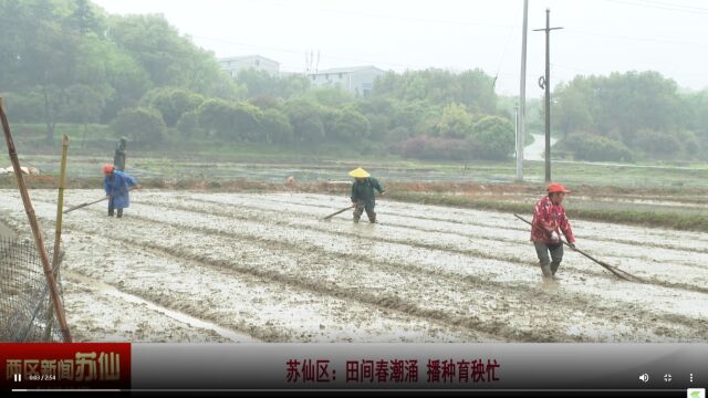 苏仙区:田间春潮涌播种育秧忙