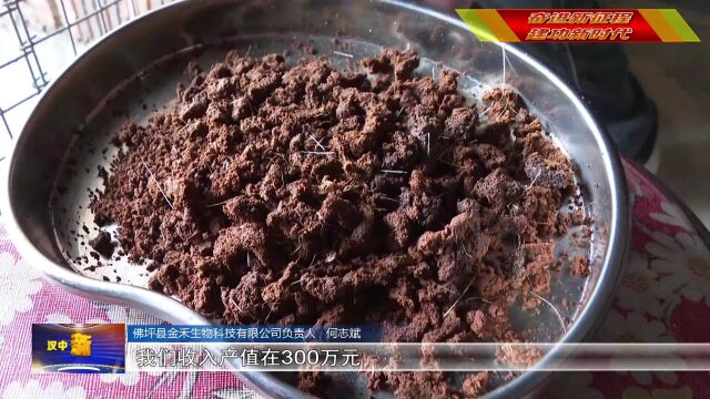 汉视新闻 | 佛坪:林麝养殖让绿水青山生“黄金”