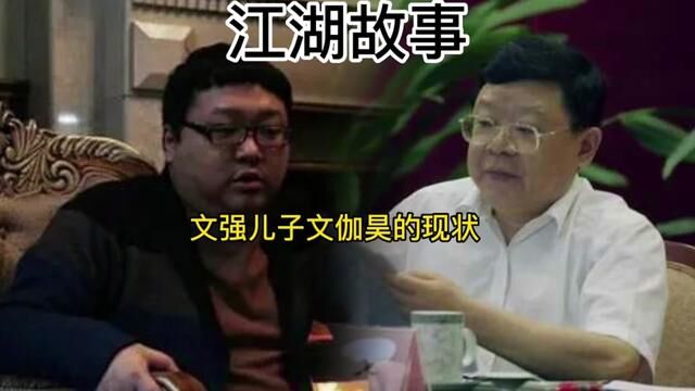 江湖纪实文强儿子文伽昊的现状#江湖故事 #真实案件记录 #社会百态 #人物故事 #真实事件