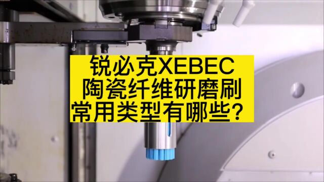 锐必克XEBEC陶瓷纤维研磨刷常用类型有哪些?