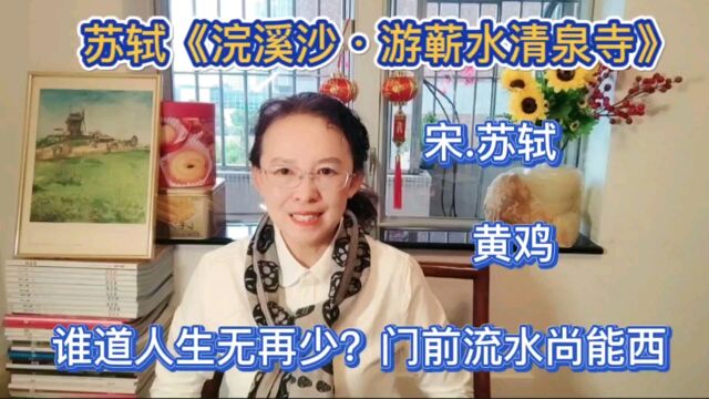 苏轼不服:谁道人生无再少?门前流水尚能西,要杀一个回马枪