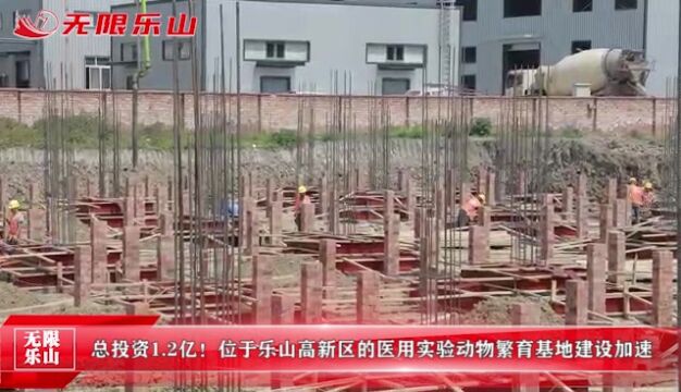 总投资1.2亿!位于乐山高新区的医用实验动物繁育基地建设加速