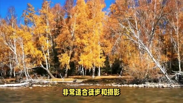 白哈巴村、可可托海……阿勒泰旅游景点全攻略