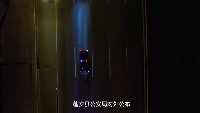 22人被抓,涉案1.2亿,家族式犯罪团伙被一网打尽!蓬安公安成功侦破特大侵犯著作权案