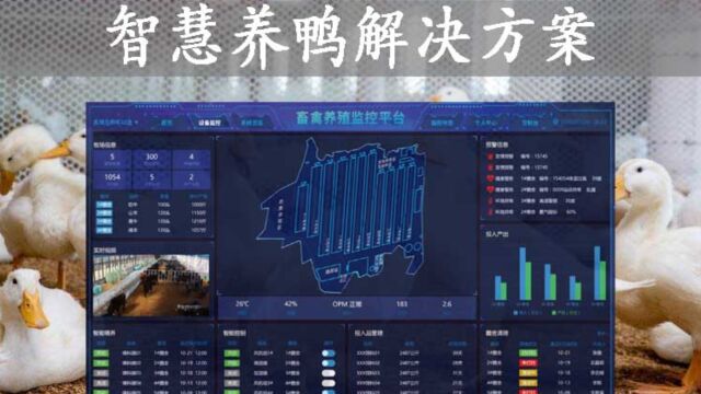 物联网养殖方案 科学养鸭