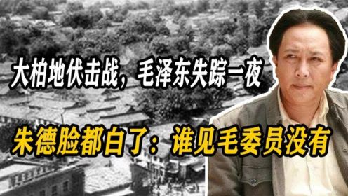 大柏地伏击战，毛泽东失踪一夜，朱德脸都白了：谁见毛委员没有？