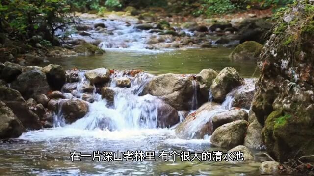 民间故事:天鹅