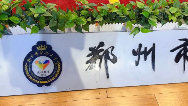 郑州市实验小学教育集团培训