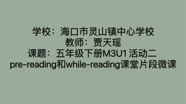 海口市灵山镇中心学校,贾天瑶