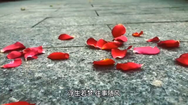 《再成团宠,病弱娇女飒翻全场》姜愿谢清辞小说全文