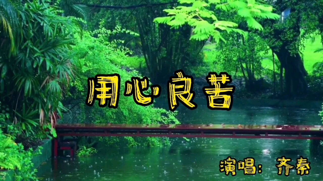 那些年优美的旋律,经典歌曲回放,用心良苦