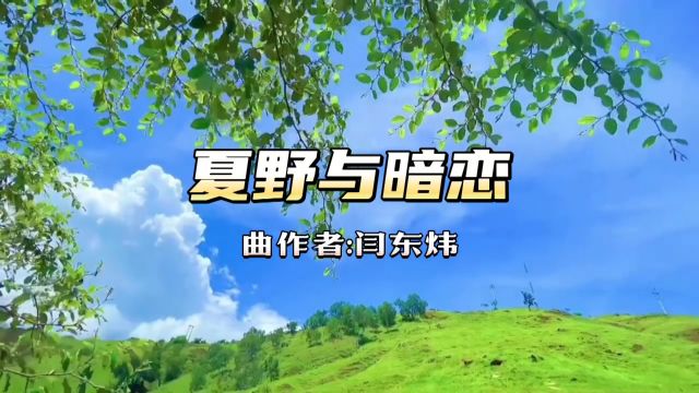 一首BGM《夏野与暗恋》,曲风清新旋律温馨请享听