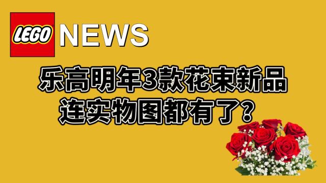 乐高2024年三款新花束,连实物图都有了?