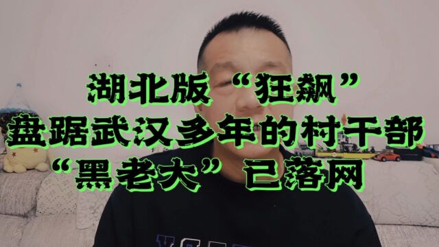 盘踞武汉多年的“黑老大”已落网