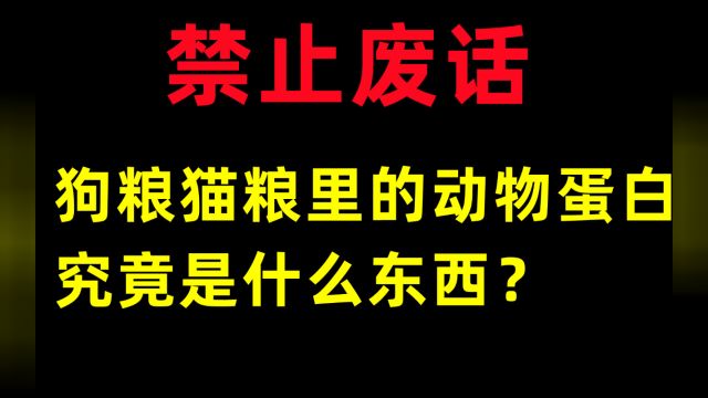 禁止废话:狗粮猫粮里的动物蛋白,究竟是什么东西?