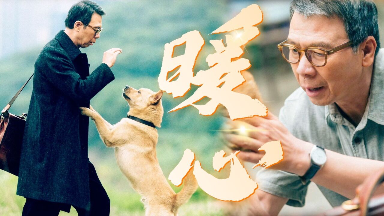 《忠犬八公》暖心群像混剪,生活总该迎着光亮!_高清1080P在线观看平台_腾讯视频